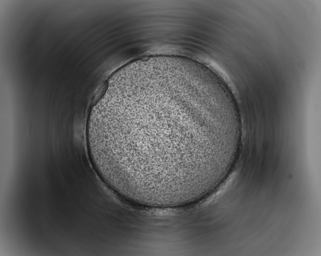 X0000094211041200711161825