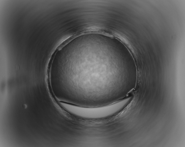 X0000094211042200711161825