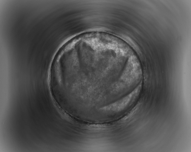 X0000094211044200711161825