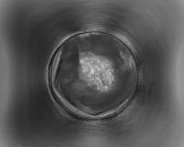X0000094211047200711161825