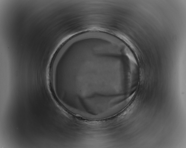 X0000094211048200711161825