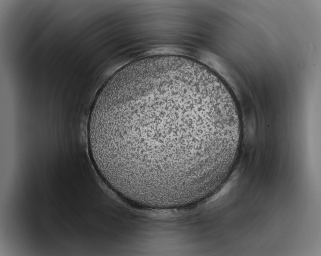 X0000094211049200711161825