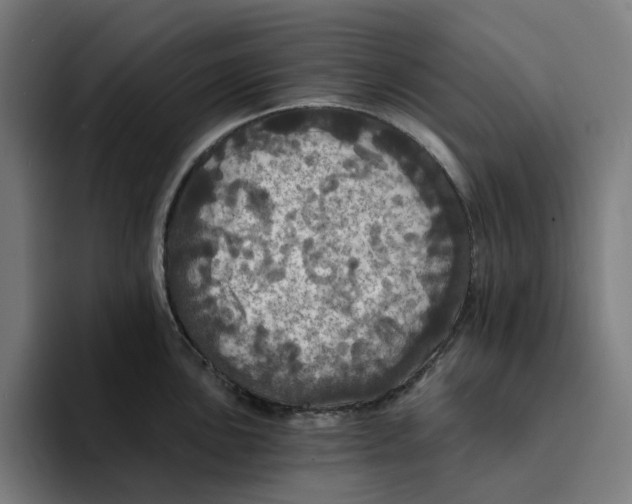 X0000094211051200711161825
