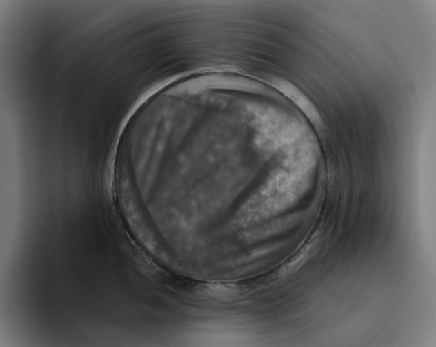 X0000094211052200711161825