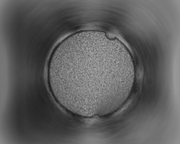 X0000094211053200711161825