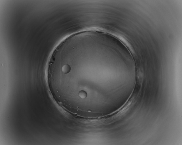 X0000094211054200711161825