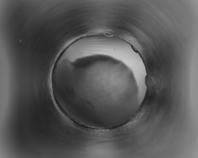 X0000094211055200711161825