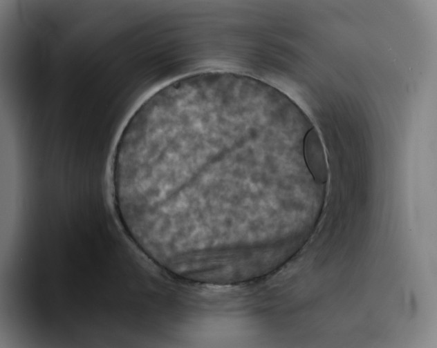 X0000094211056200711161825