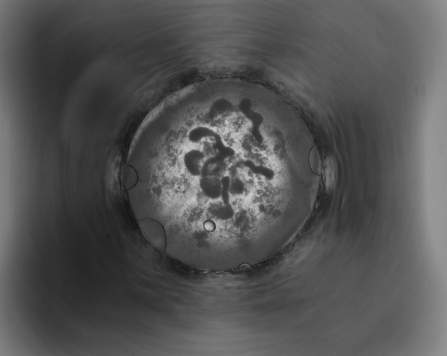 X0000094211059200711161824