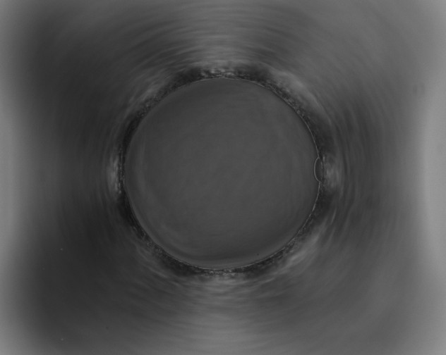 X0000094211060200711161824