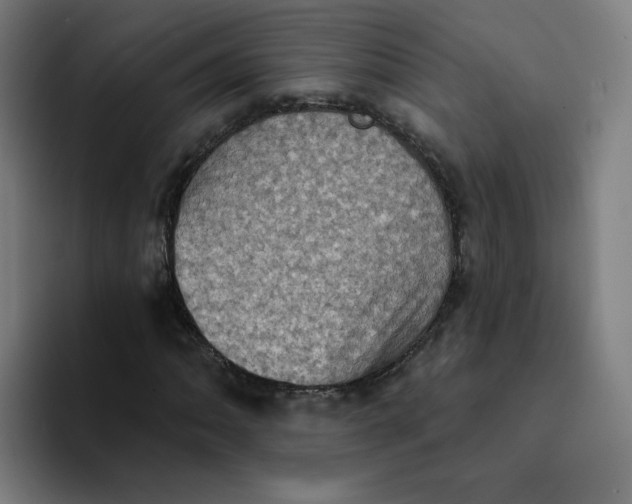 X0000094211062200711161824
