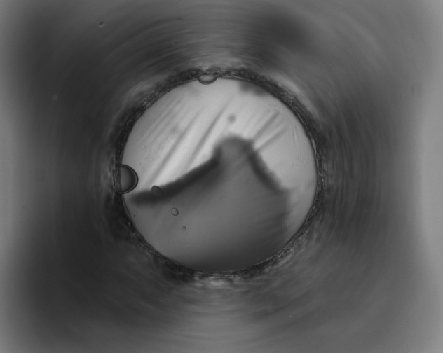 X0000094211063200711161824