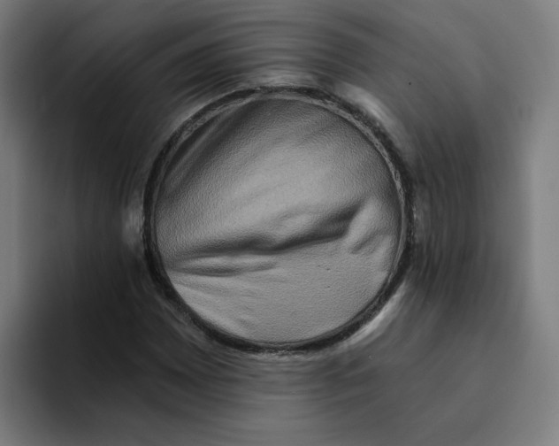X0000094211065200711161824