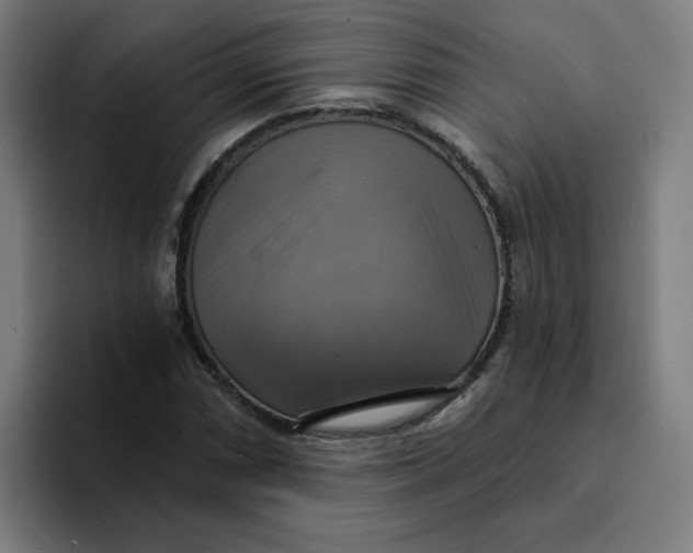 X0000094211066200711161824