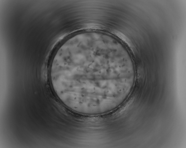 X0000094211067200711161824