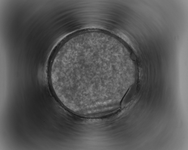 X0000094211068200711161824