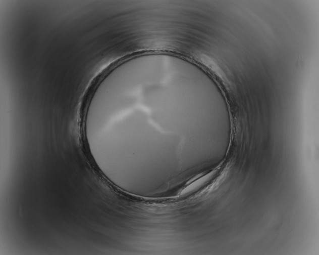 X0000094211071200711161824