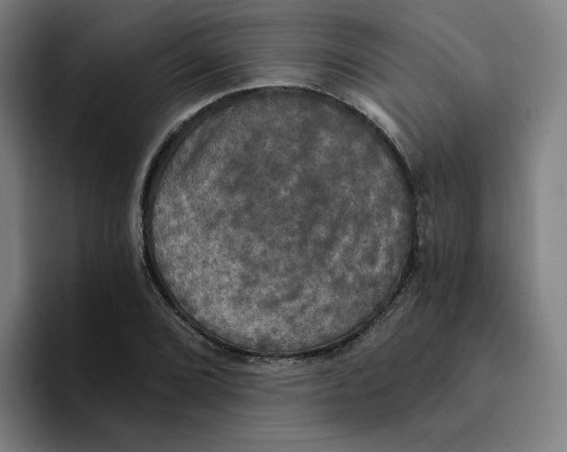 X0000094211072200711161824