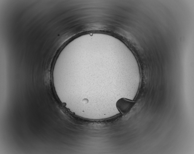 X0000094211073200711161824