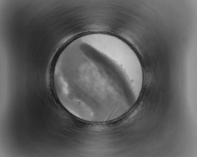 X0000094211074200711161824