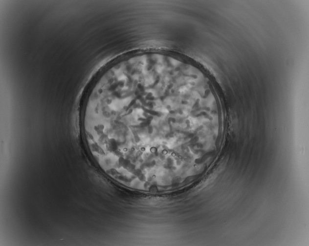 X0000094211075200711161824