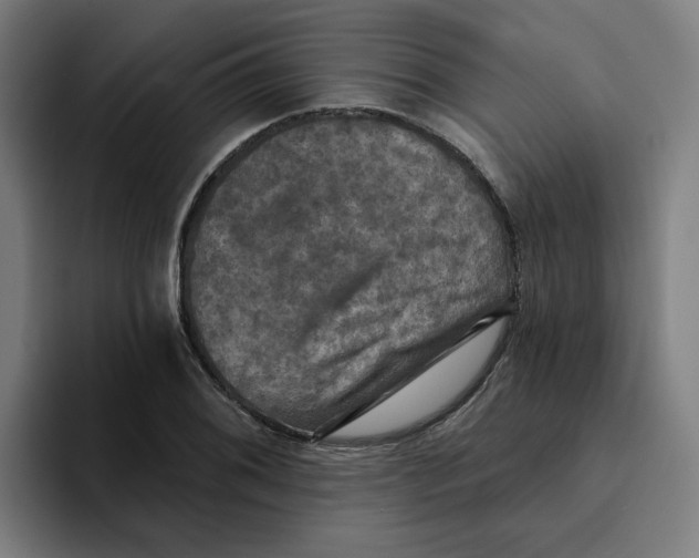 X0000094211076200711161824