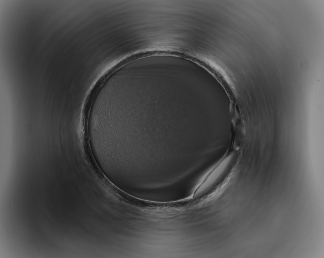 X0000094211077200711161824