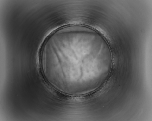 X0000094211078200711161824