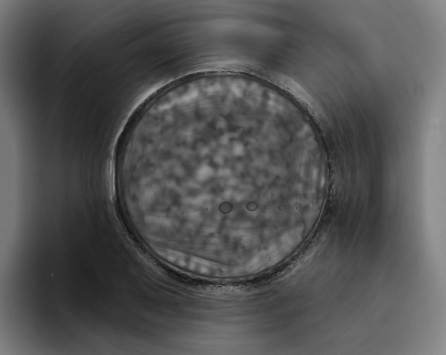 X0000094211079200711161824