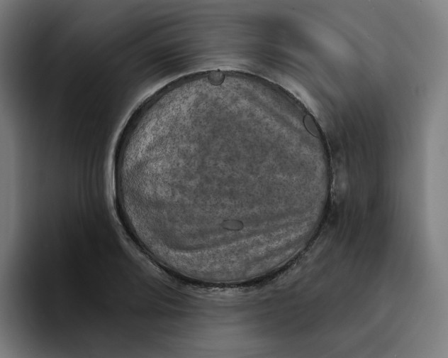 X0000094211080200711161824