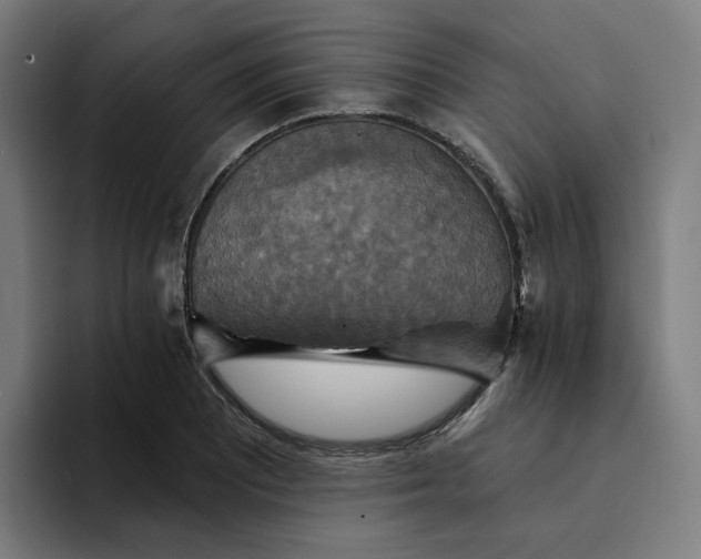 X0000094211081200711161824