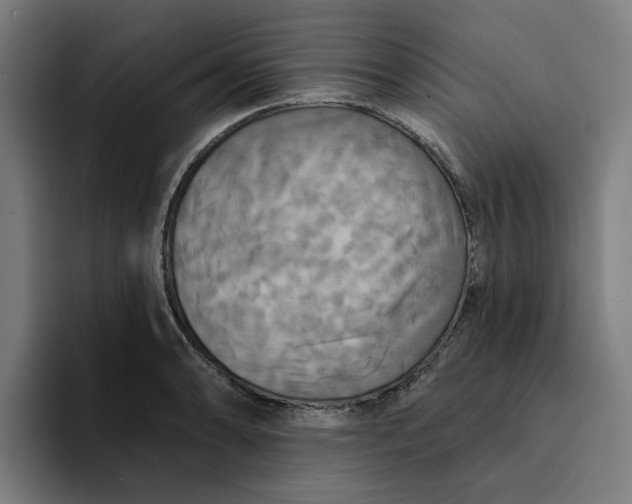 X0000094211086200711161824