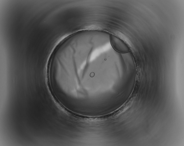 X0000094211087200711161824