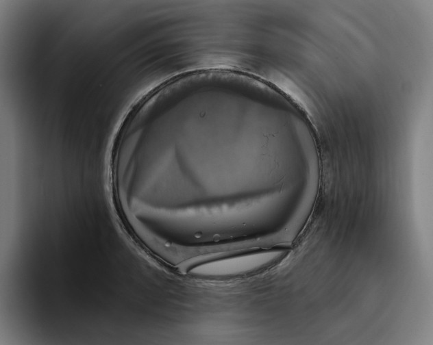 X0000094211088200711161824