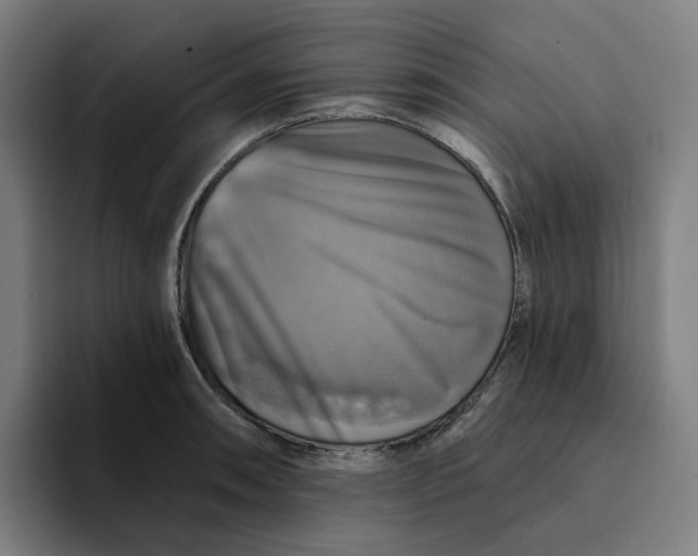 X0000094211090200711161824