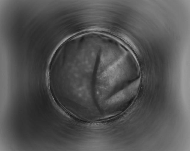 X0000094211092200711161824