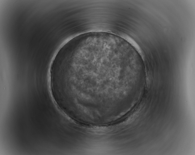 X0000094211096200711161824