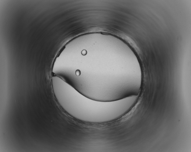 X0000094211097200711161824