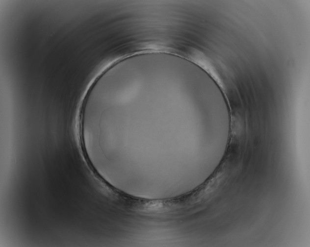 X0000094211098200711161824