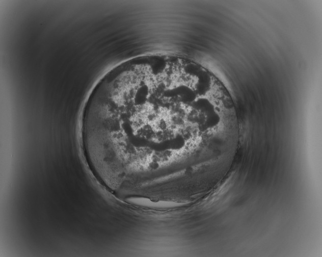 X0000094211099200711161824