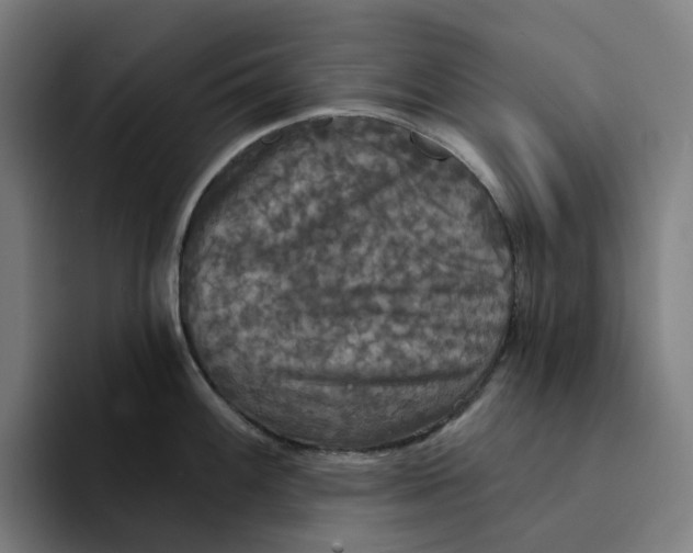 X0000094211100200711161824