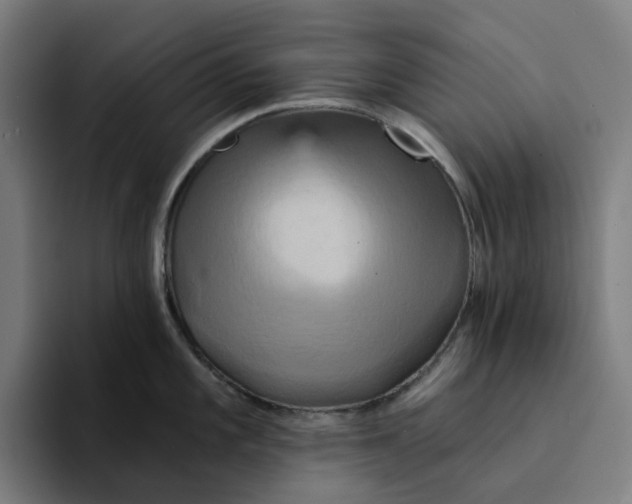 X0000094211101200711161824