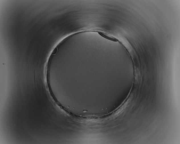 X0000094211102200711161824