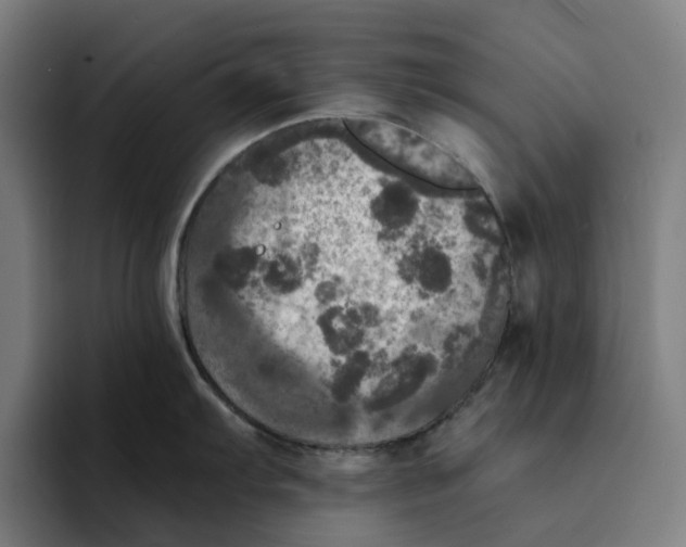 X0000094211103200711161824