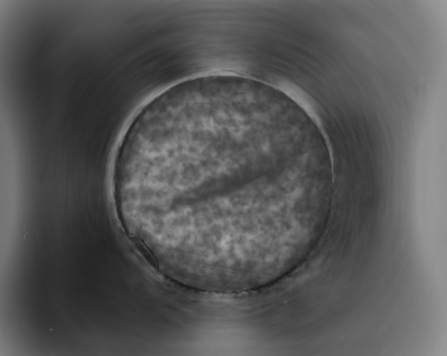 X0000094211104200711161824