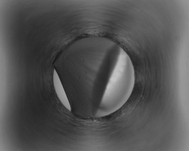 X0000094211106200711161823