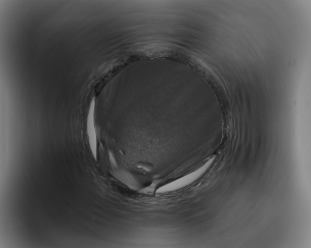 X0000094211108200711161823