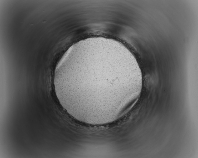 X0000094211111200711161823