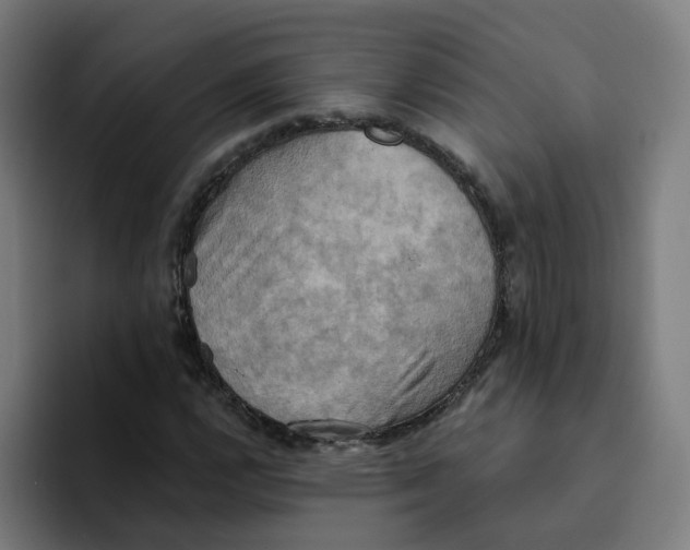X0000094211112200711161823