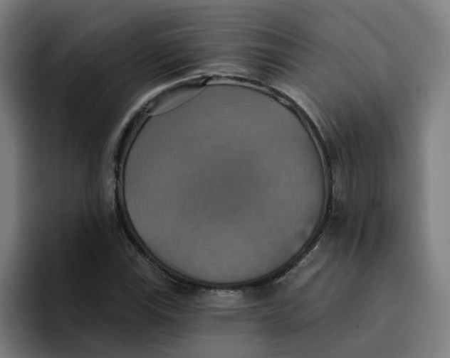 X0000094211115200711161823